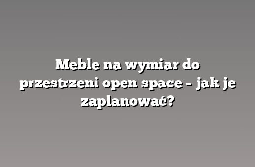 Meble na wymiar do przestrzeni open space – jak je zaplanować?