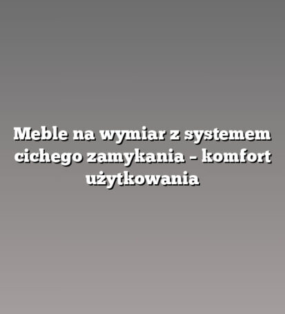 Meble na wymiar z systemem cichego zamykania – komfort użytkowania