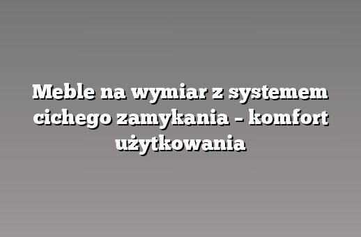 Meble na wymiar z systemem cichego zamykania – komfort użytkowania