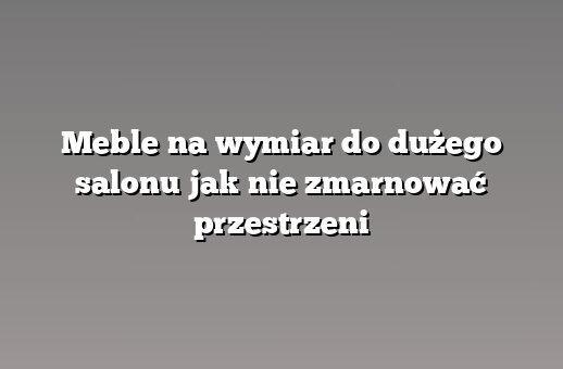 Meble na wymiar do dużego salonu jak nie zmarnować przestrzeni
