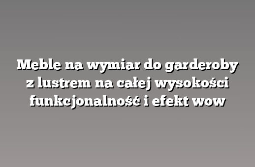 Meble na wymiar do garderoby z lustrem na całej wysokości funkcjonalność i efekt wow